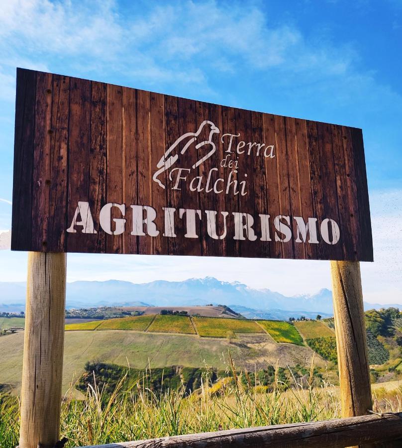 Agriturismo Terra Dei Falchi Castilenti Kültér fotó